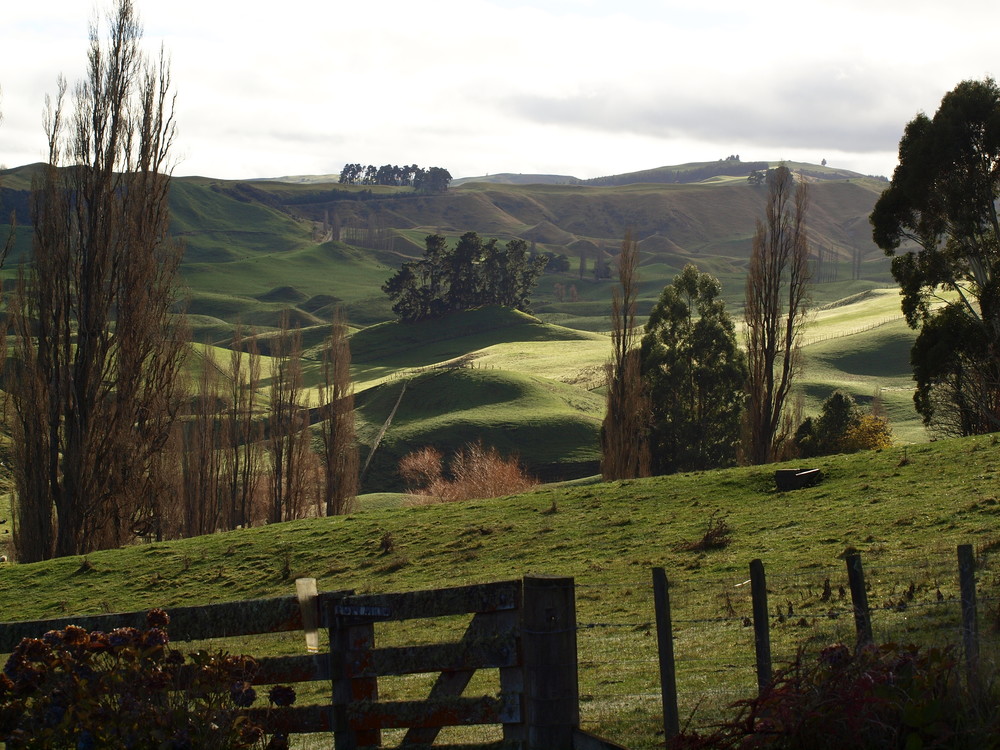 Aquila Fund portfolio