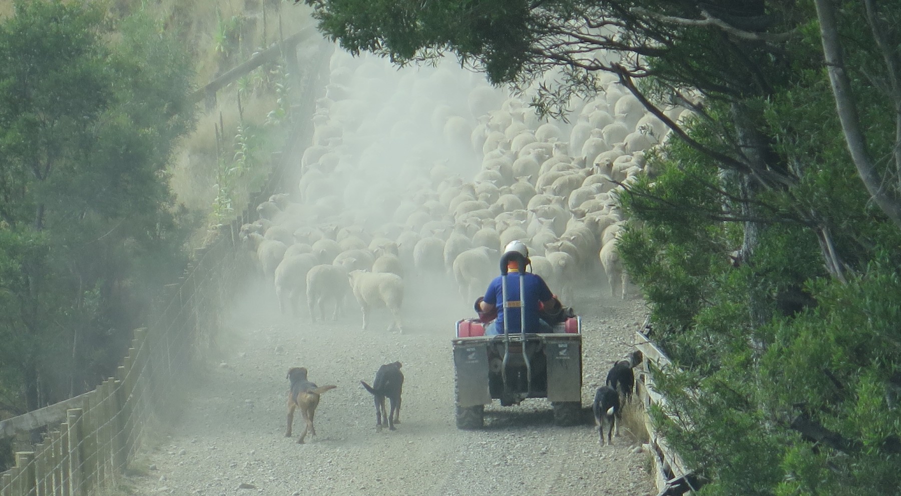 Mangatutu Station-535f
