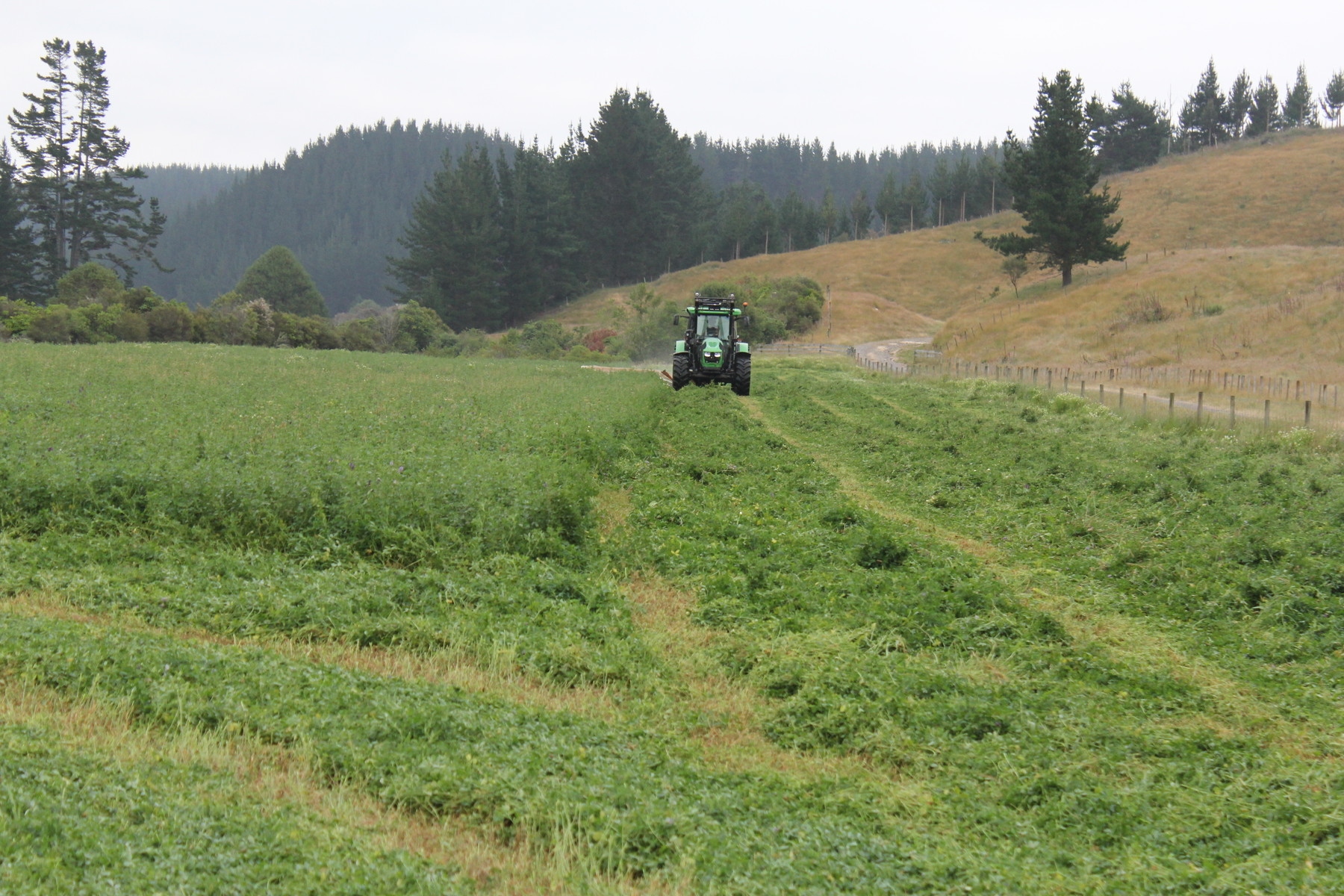 Stockerau Station-5f5c